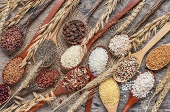 Top Lithium-Rich Foods and Their Role in Supporting Human Health