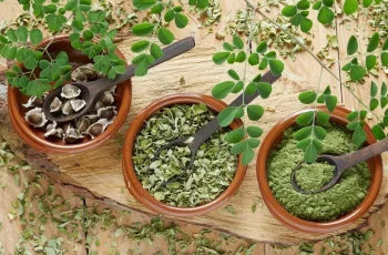 Moringa Oleifera: Why the Miracle Tree Boosts Immunity, Reduces Inflammation, and Supports Metabolic Health