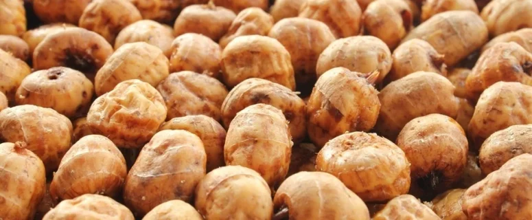 Tiger Nuts: Nutrition, Health Benefits, and Modern Applications